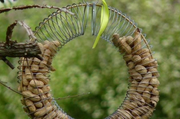 Comederos para pájaros de bricolaje | Comedero para pájaros Slinky DIY para cacahuetes