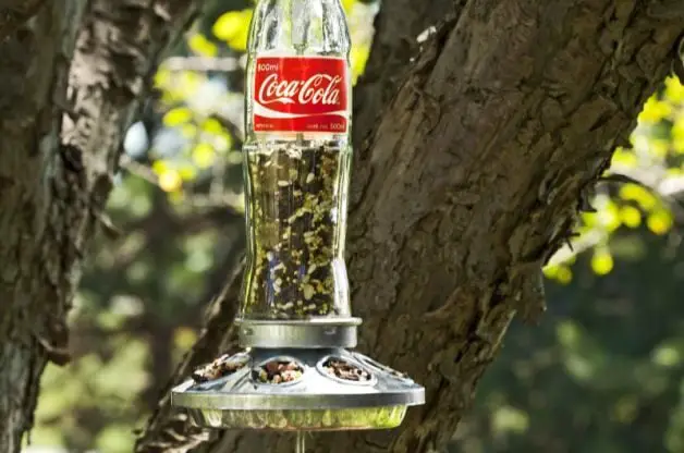 Convierta una botella de refresco de vidrio en un comedero para pájaros casero