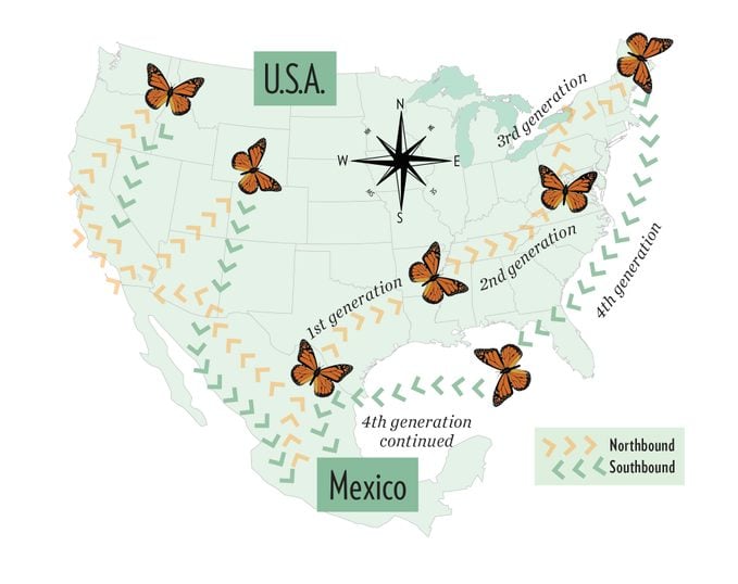 Use este mapa de migración de monarcas para rastrear el viaje épico