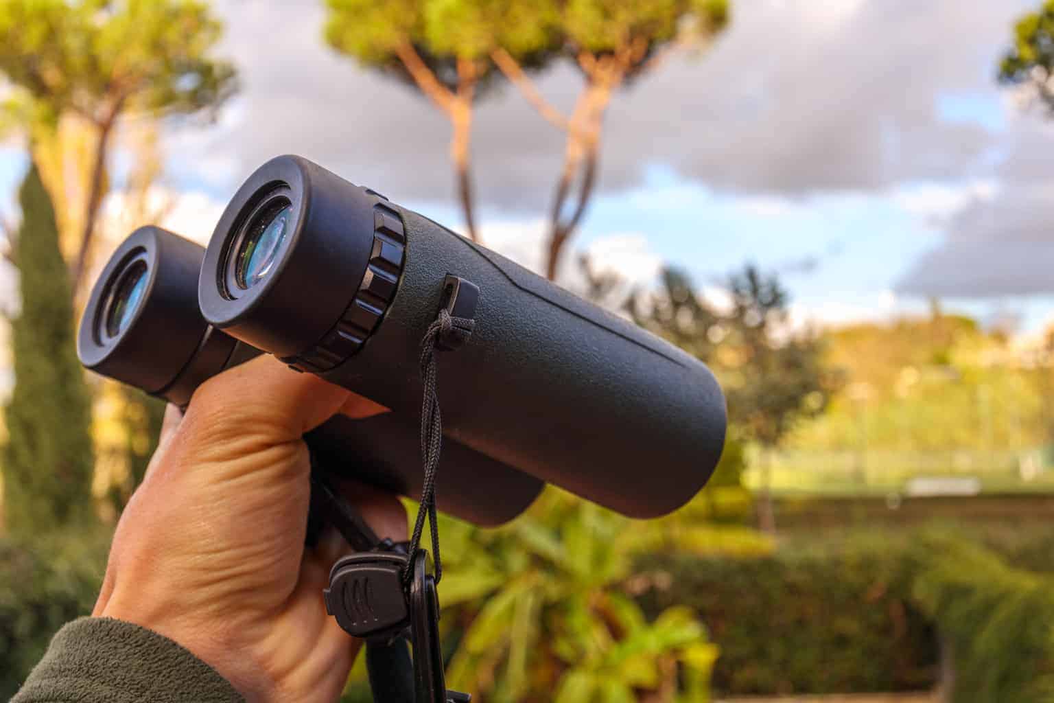 Los mejores binoculares para la observación de aves: una guía para compradores