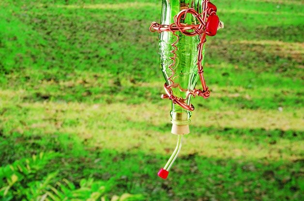Alimentador casero de colibrí con botella de vidrio