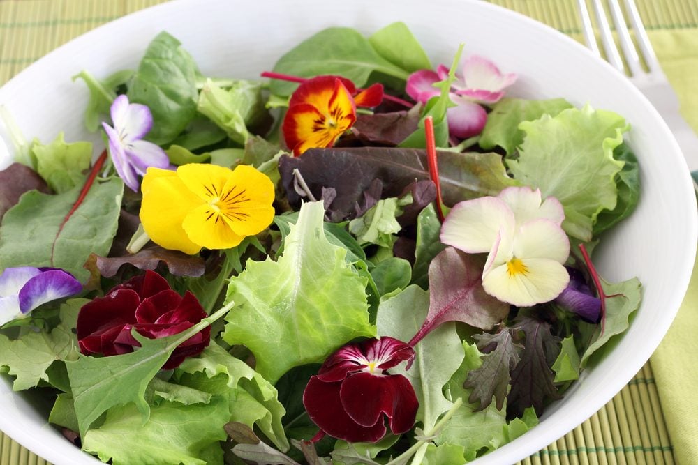 Cómo usar flores comestibles de tu jardín