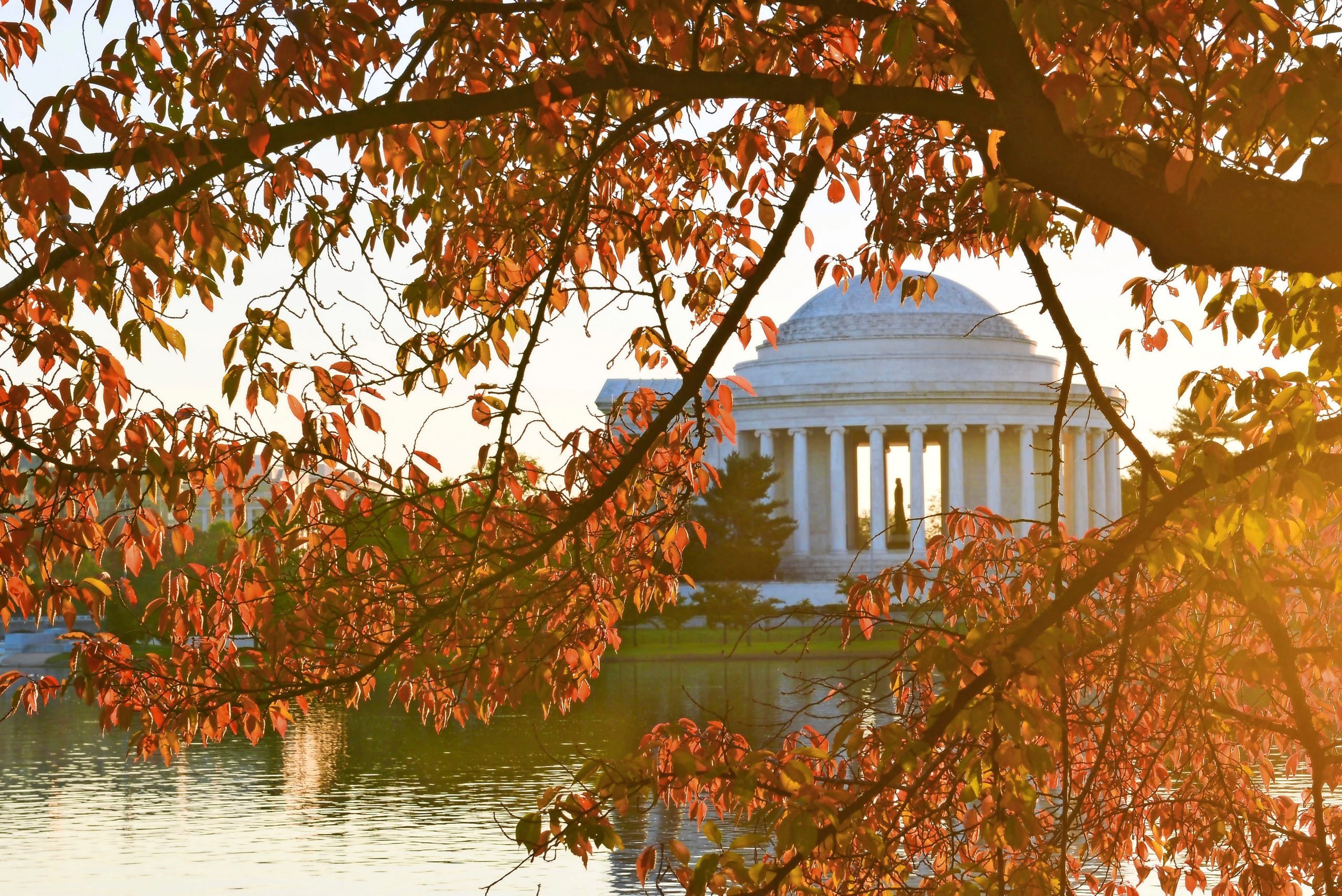 Los 3 mejores sitios para la naturaleza y la observación de aves en Washington DC
