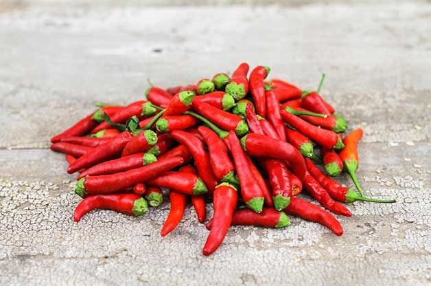 Los 10 mejores pimientos para cultivar en tu huerto