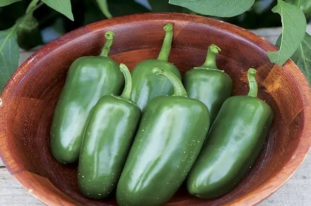 Los 10 mejores pimientos para cultivar en tu huerto