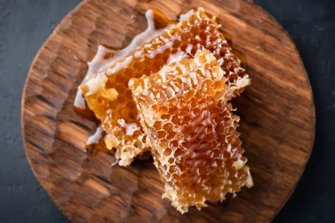 9 alimentos que nunca debes darles de comer a las aves