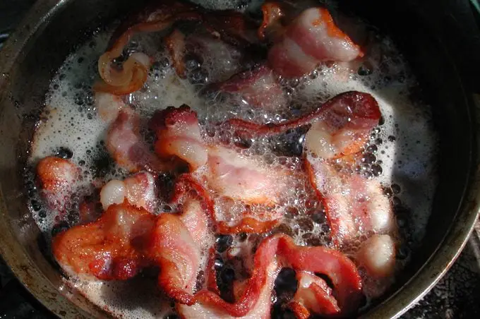 9 alimentos que nunca debes darles de comer a las aves