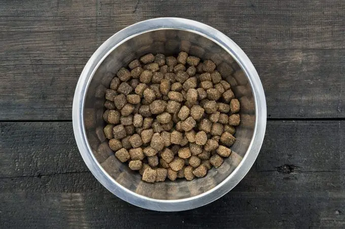 9 alimentos que nunca debes darles de comer a las aves