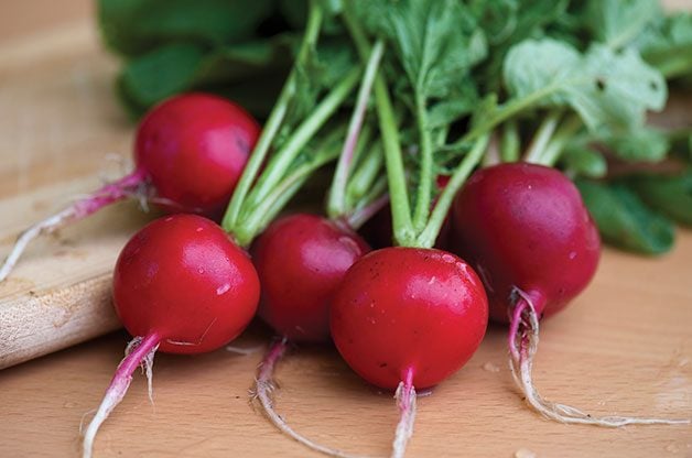 10 vegetales de crecimiento rápido que puedes cosechar rápidamente
