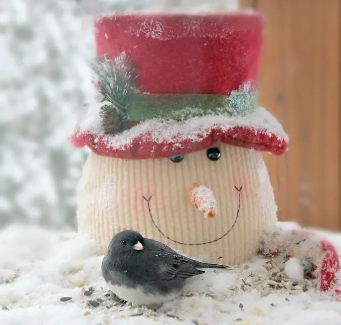 Qué comen los juncos y cómo atraerlos