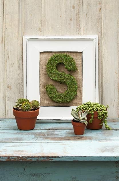Proyecto de decoración de bricolaje con letras de musgo