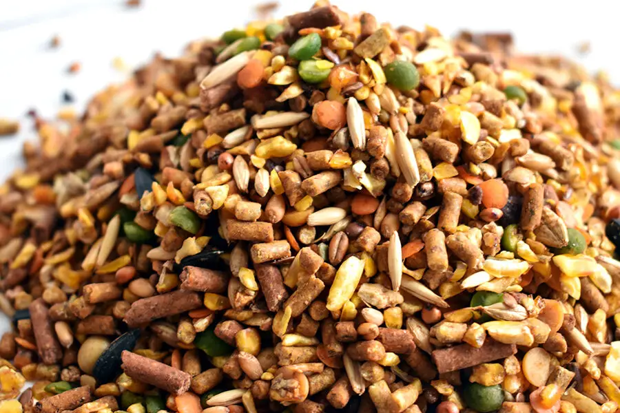 Receta casera de alimento para pollos • The Prairie Homestead