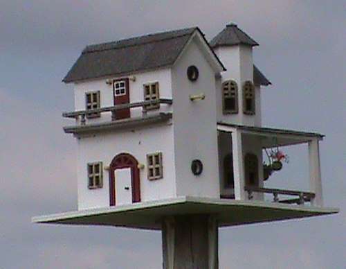 Cómo construir una casa para pájaros de la manera correcta