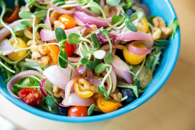 Las mejores opciones del kit Microgreens para cultivar en interiores