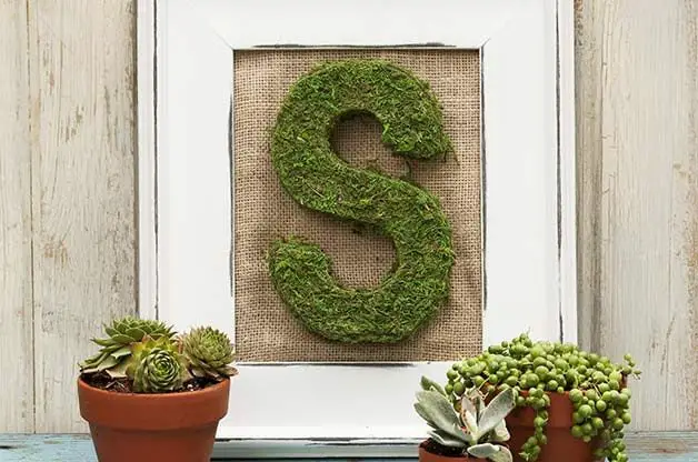 Proyecto de decoración de bricolaje con letras de musgo