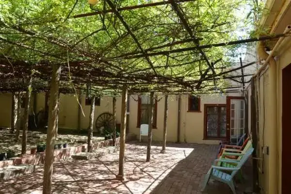 Viaja a Arizona para ver el rosal más grande del mundo
