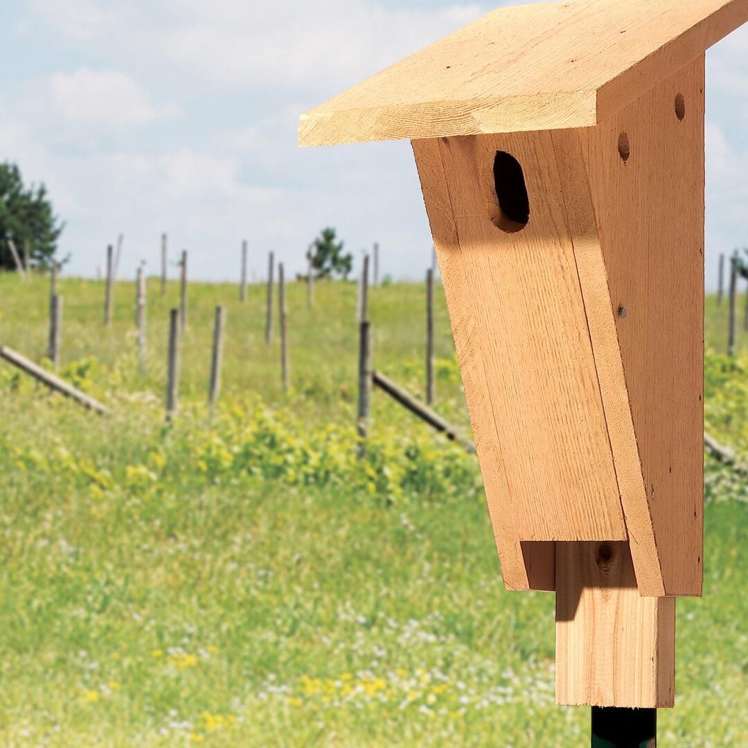 Log Bird House DIY (Colaboración de Canal & River Trust) - The Carpenter's...