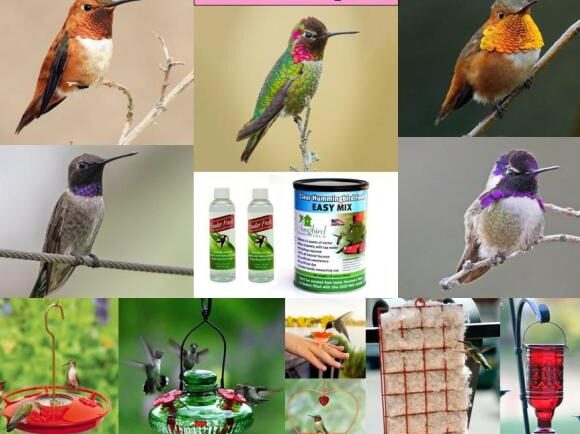 Wild Birds Unlimited - Tienda de Naturaleza