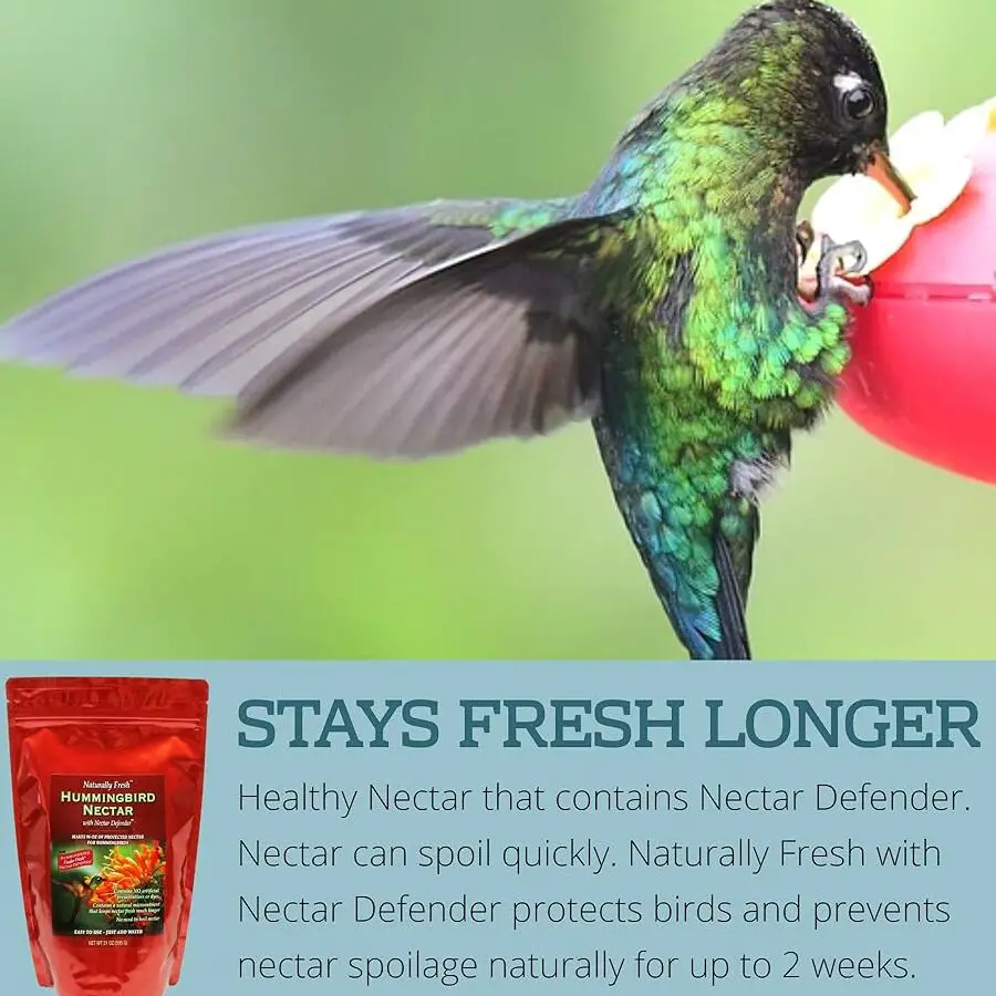 Amazon.com: Néctar de colibrí naturalmente fresco de Sapphire Labs con ...
