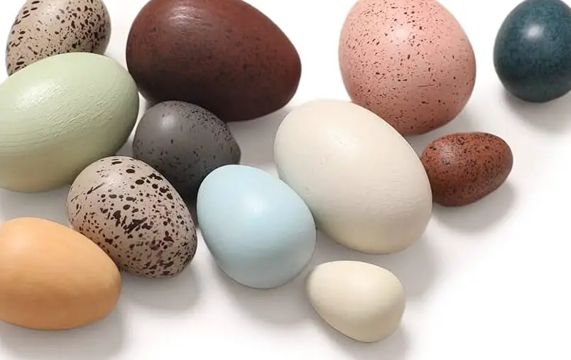 Amazon.com: Youuys Huevos de Pascua de madera, juguetes para niños, imitación de Pascua ...