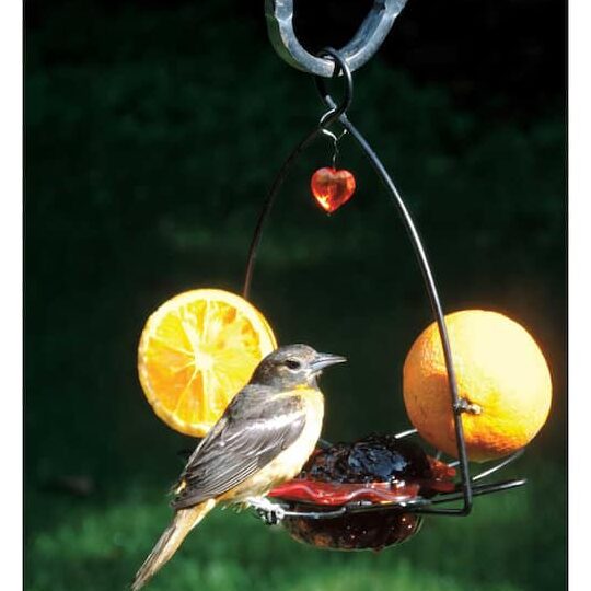 BIRDS Choice Comedero para flores Oriole OFF - The Home Depot