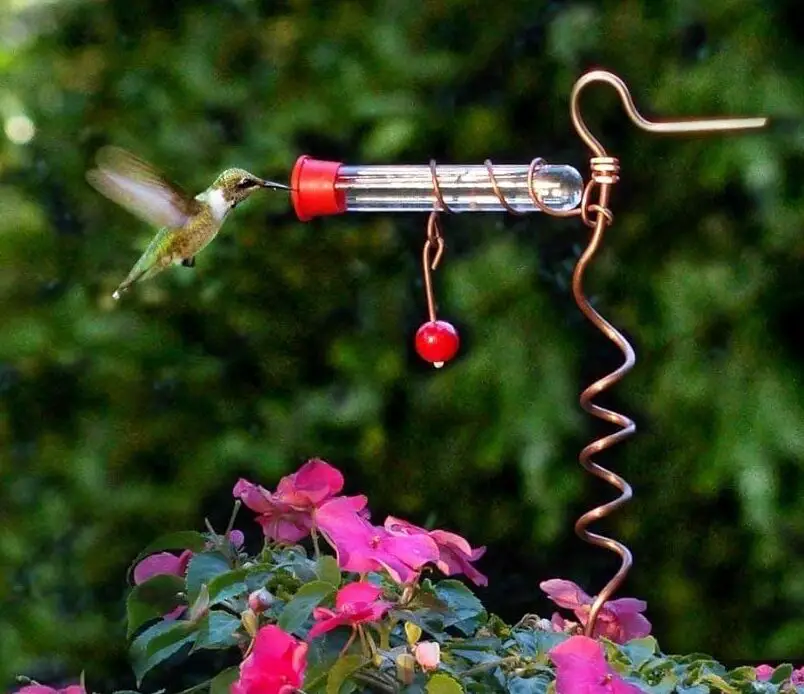 Amazon.com: Songbird Essentials SEHHFPF1 Maceta de un tubo ...