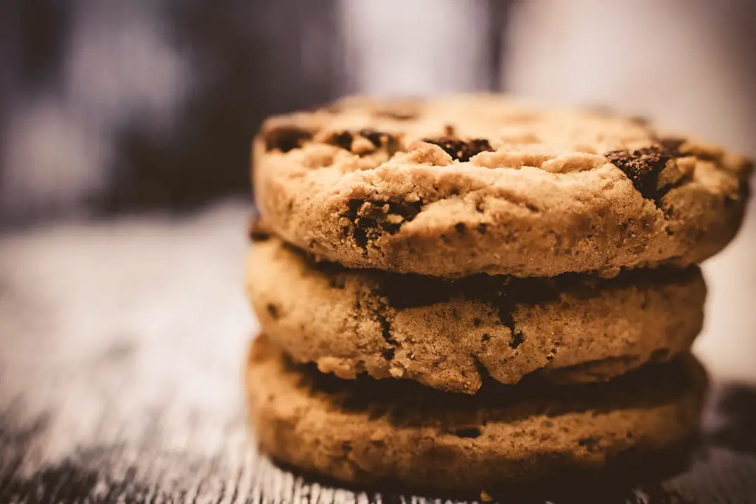 ¿Pueden los loros comer galletas?