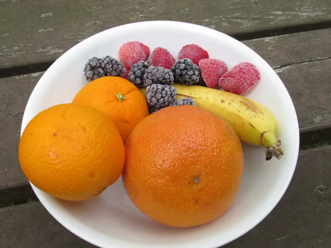 Atrae pájaros que nunca antes habías visto con frutas - HubPages