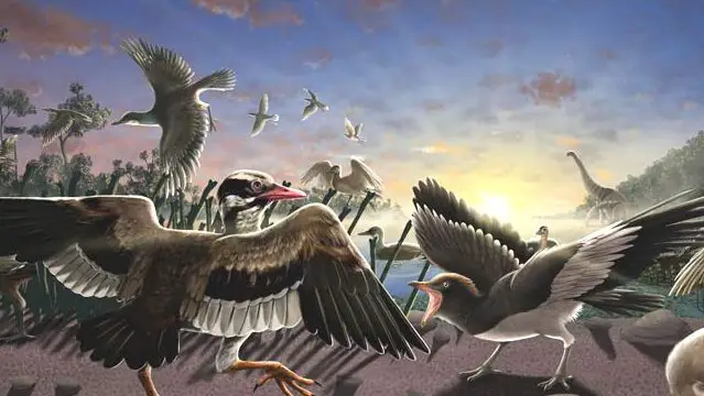 Dos nuevas especies de aves prehistóricas identificadas en China |