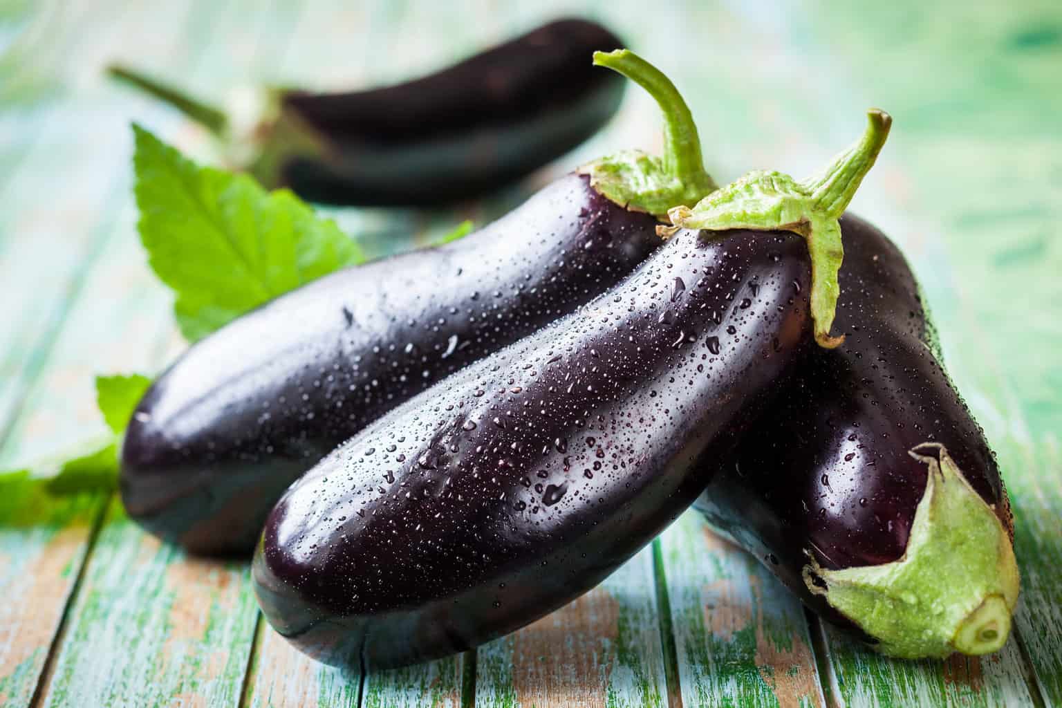 ¿Pueden los pájaros comer berenjena? Datos interesantes sobre esta planta
