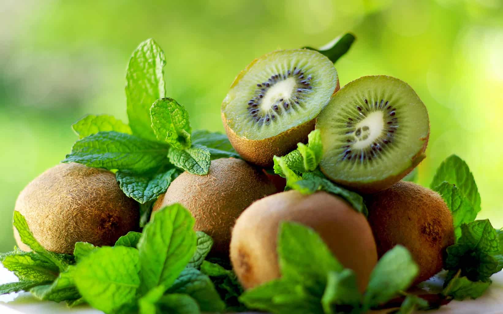 ¿Pueden los pájaros comer kiwi? ¡Sí, y te lo agradecerán!